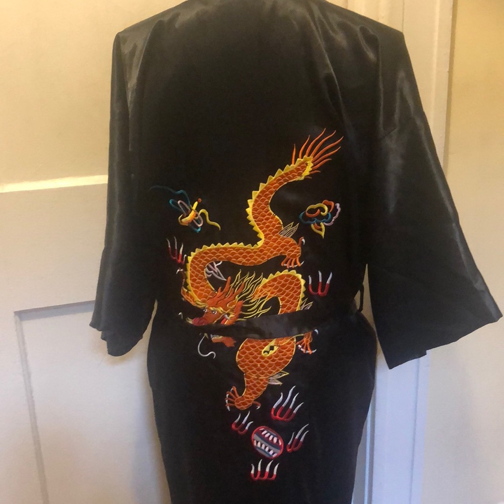 Chinese Dragon Robe - Picture 3 of 3